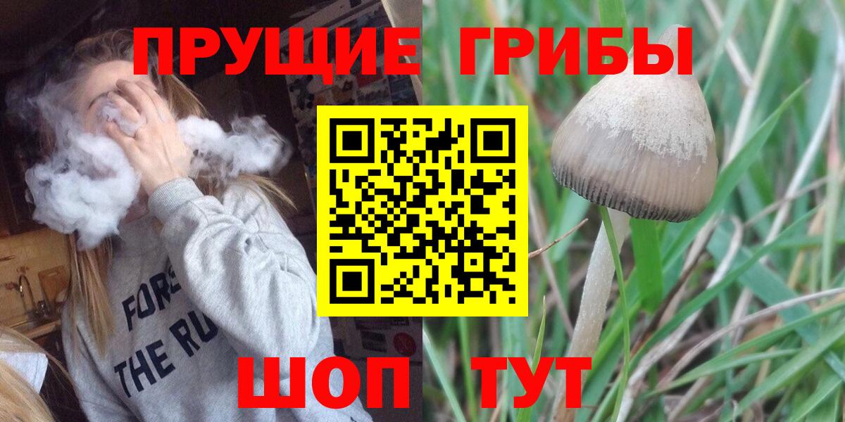 Псилоцибиновые грибы мухоморы  Галлюциногенные грибы Psilocybine cubensis  Вход с VPN  Отрадное 